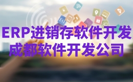 成都erp进销存软件开发公司