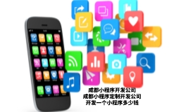 小程序开发一个多少钱啊
